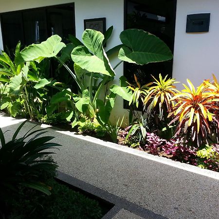 Kelapa Lovina Beach Villa Exterior foto